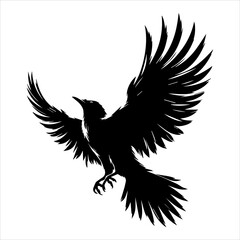 Black silhouette of a flying bird with wings spread wide in white background