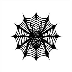 Spider on web illustration isolated