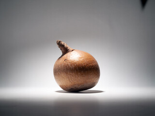 Single Brown Baobab Fruit with Textured Surface adansonia