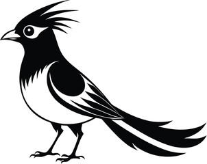 Blue jay bird silhouette, bird icon, flying bird illustration
