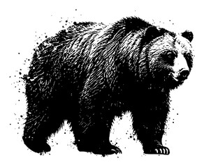 Powerful Grizzly Bear Full Body Standing View Black and White Drip Splat Abstract Art Illustration