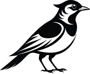 Blue jay bird silhouette, bird icon, flying bird illustration