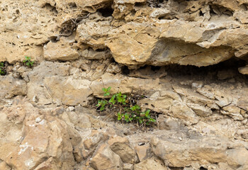 the structure of the rock surface in the section, quarrying in the natural environment, sunny day