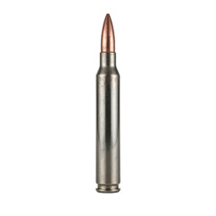 High quality image of a single nickel plated bullet showcasing its sleek design and intricate details on a clean white background