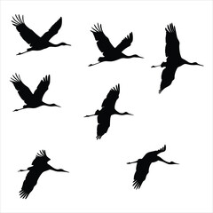 silhouettes of birds