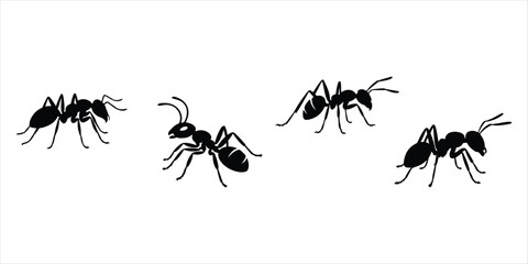 ant silhouette vector set hand drawn illustration on white background. ant icon set.