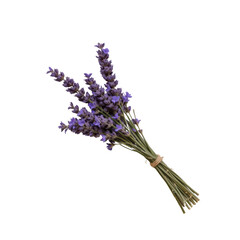 a bouquet of lavender flowers tied with twine at the stem