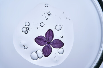 A drop of serum with bubbles and purple flowers in a petri dish.