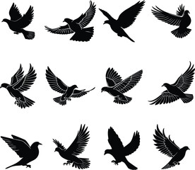 Set of Dove Bird Silhouettes Flying and Standing Black Vector Illustrations