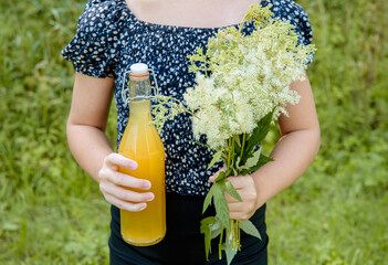 Child hands holding homemade Meadowsweet Filipendula ulmaria flowers syrup bottle and picked meadowsweet bouquet in hands outdoors in summer nature.
