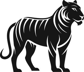 zebra, animal, mammal, isolated, black, white, wild, 