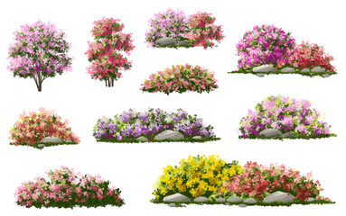  Vector watercolor blooming flower tree or forest side view isolated on white background for landscape and architecture drawing,elements for environment or and garden,green tree for garden section 