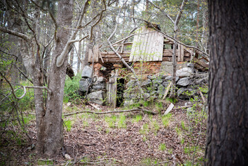 Abandoned House in the Forest