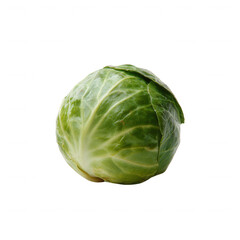 Fototapeta premium Fresh green cabbage isolated on a white background, showcasing its crisp texture and vibrant color, perfect for healthy recipes or gardening ideas.