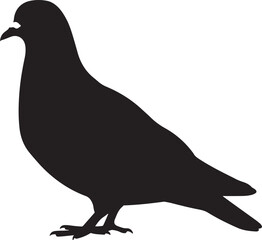 Fototapeta premium Silhouette of a Rock Pigeon Standing Still, Captivating Black and White Pigeon Image for Wildlife Enthusiasts