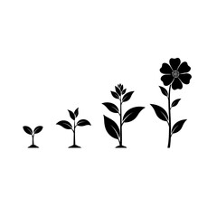 Black and white illustration of plant growth stages from sprout to flower