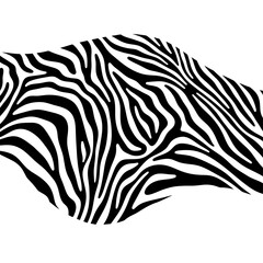 Black and white zebra pattern with curved stripes on a white background