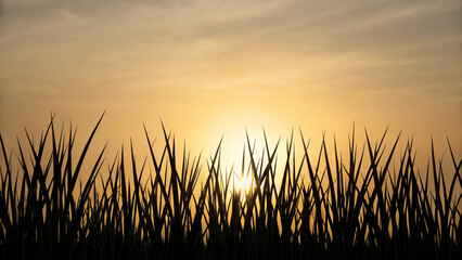 Silhouette of grass against a golden sunset sky with soft natural lighting