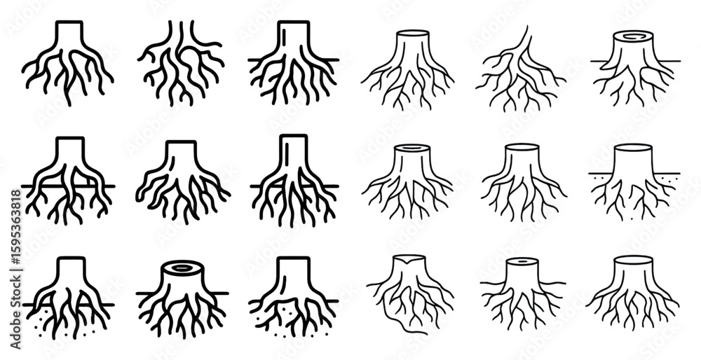 Poster the roots of trees are shown in various sizes and shapes. the roots are spread out and can be seen i