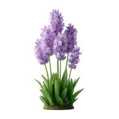A beautiful arrangement of purple hyacinth flowers, showcasing their vibrant color and lush green leaves, perfect for adding a touch of nature to any space.