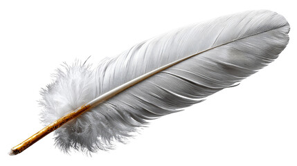 Ethereal Feather: A close-up studio capture reveals the delicate beauty of a pristine white feather, with fine details, capturing the gentle softness and graceful elegance of a feather.