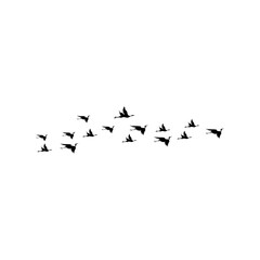 Elegant vector silhouettes of a bird flock in flight, set against a white background. Perfect for tattoos, logos, or nature-themed artwork, symbolizing freedom and grace.