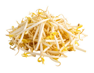 Beansprout isolated on transparent backgground