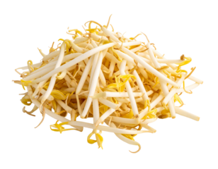 Beansprout isolated on transparent backgground