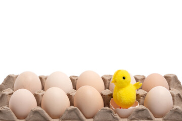 Eggs and yellow chicken isolated on white background. Easter concept.