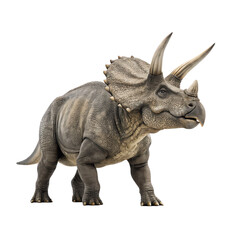 Obraz premium tyrannosaurus rex dinosaur