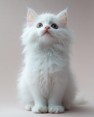 Adorable White Kitten Portrait: A Fluffy Cloud of Innocence
