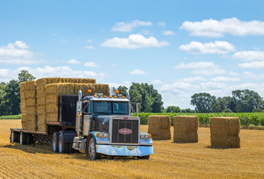 A Peterbilt semi truck with a load of straw bales in a farm field. 