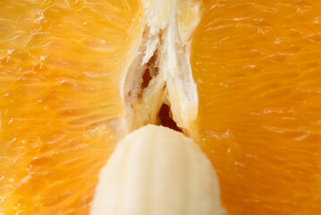 Detailed close-up photo of a fresh halved orange and banana. Symbol of male and female.