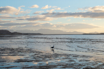 amanecer de la bahia