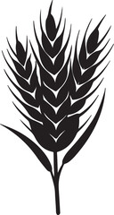 wheat silhouette, black and white silhouette, vector and illustration