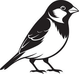 Obraz premium house sparrow silhouette, black and white silhouette, vector and illustration