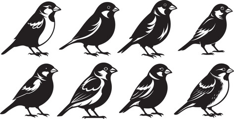 Obraz premium set of house sparrow silhouette, black and white silhouette, vector and illustration