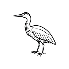 Obraz premium A bittern line art silhouette vector illustration on white background