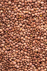 Organic brown lentil background, close up texture, legumes for vegan and vegetarian cooking, pulses for healthy balanced diet, plant-based protein source