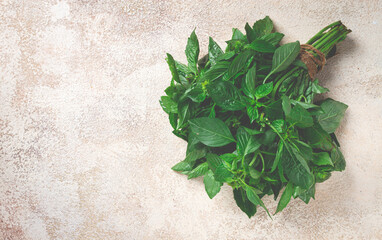 bouquet of fresh green basil, on the table, top view, no people,