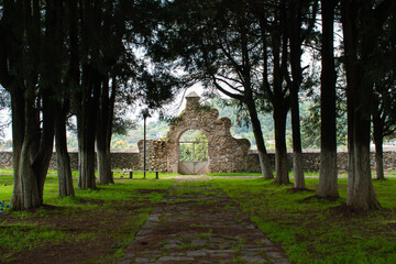 Obraz premium jardin