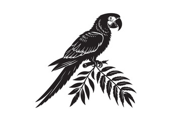 Set of Parrot silhouette vector illustration , with a clear white background