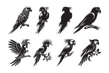 Set of Parrot silhouette vector illustration , with a clear white background