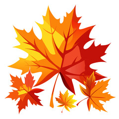 Obraz premium Vibrant autumn maple leaves in shades of red orange and yellow