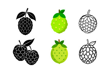 set of noni fruit vector illustration noni silhouette