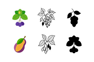 Set of Akebia Vector hand drawn colored Purple Akebia 