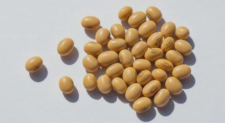 Pile of soybeans on a white surface under bright light.