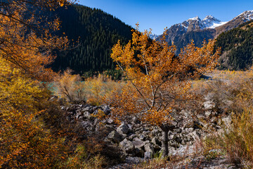 Picturesque autumn landscape in the vicinity of the high-mountain lake Issyk in the Almaty region...