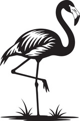 Stylized flamingo bird silhouette. Monochrome tropical animal icon design element. Engraved style vector graphic for logo or emblem.