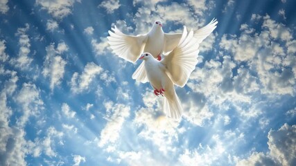 Two white doves flying towards the sun over rocky cross